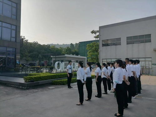 歐哲第22期雛鷹行動(dòng)精英導(dǎo)購(gòu)特訓(xùn)營(yíng)圓滿結(jié)束